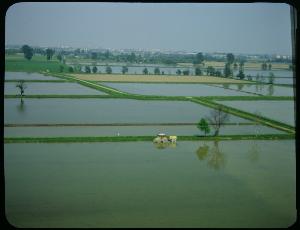 SC_F_SUP-3a050-0000197_IMG-0000001726