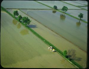 SC_F_SUP-3a050-0000296_IMG-0000001822