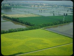 SC_F_SUP-3a050-0000297_IMG-0000001823