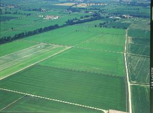 SC_F_SUP-3a050-0000321_IMG-0000001846