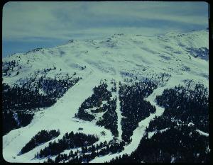SC_F_SUP-3a050-0000530_IMG-0000002052