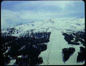 SC_F_SUP-3a050-0000532_IMG-0000002054