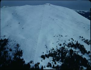 SC_F_SUP-3a050-0000602_IMG-0000002124