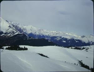 SC_F_SUP-3a050-0000604_IMG-0000002126