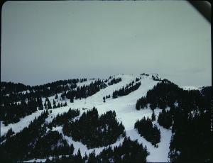 SC_F_SUP-3a050-0000615_IMG-0000002136