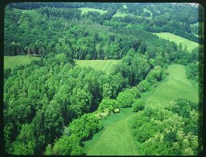 SC_F_SUP-3a050-0000834_IMG-0000002355