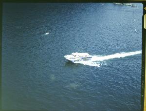 SC_F_SUP-3a050-0001090_IMG-0000002608