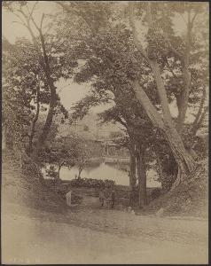 SC_F_SUP-3a050-0001377_IMG-0000033398