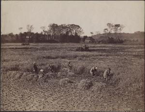 SC_F_SUP-3a050-0001404_IMG-0000033424
