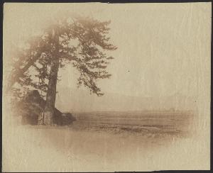 SC_F_SUP-3a050-0001446_IMG-0000033466
