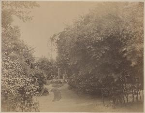 SC_F_SUP-3a050-0001497_IMG-0000033516