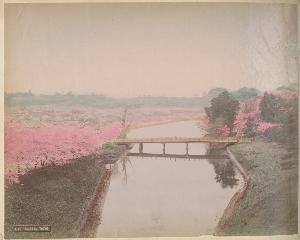 SC_F_SUP-3a050-0001642_IMG-0000033661