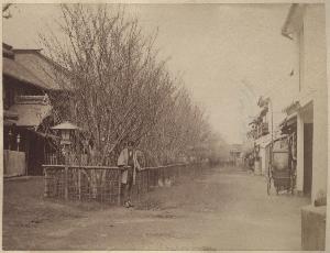 SC_F_SUP-3a050-0001866_IMG-0000033884