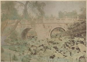 SC_F_SUP-3a050-0001991_IMG-0000034008