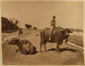 SC_F_SUP-3a050-0002481_IMG-0000034428