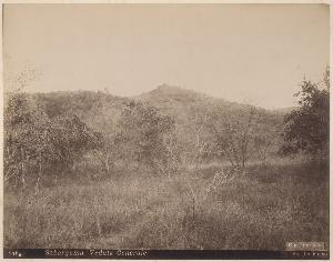 SC_F_SUP-3a050-0002632_IMG-0000034493