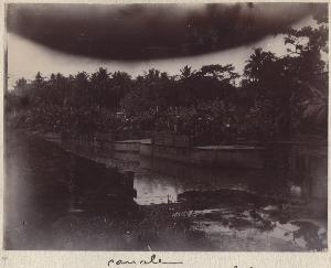 SC_F_SUP-3a050-0002677_IMG-0000034537