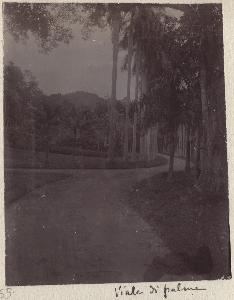 SC_F_SUP-3a050-0002692_IMG-0000034552