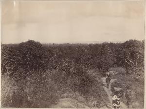 SC_F_SUP-3a050-0002844_IMG-0000034702
