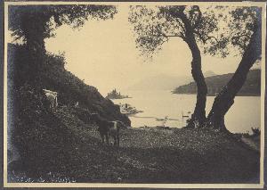 SC_F_SUP-3a050-0002888_IMG-0000034746