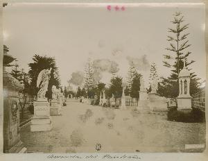 SC_F_SUP-3a050-0003159_IMG-0000034992
