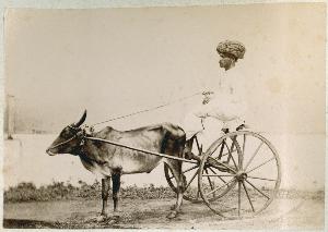 SC_F_SUP-3a050-0003350_IMG-0000035036
