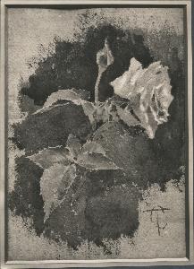 SC_F_SUP-3a060-0001108_IMG-0000026773