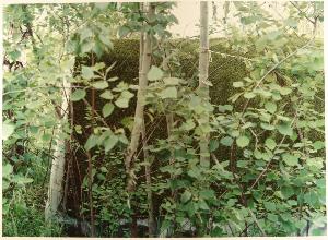 SC_F_SUP-3a060-0001139_IMG-0000003899