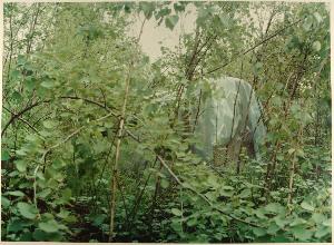 SC_F_SUP-3a060-0001142_IMG-0000003902