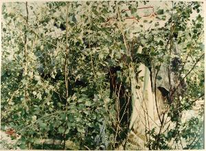 SC_F_SUP-3a060-0001144_IMG-0000003904
