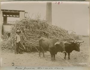SC_F_SUP-3a060-0001564_IMG-0000035470