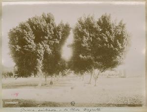 SC_F_SUP-3a060-0001568_IMG-0000035474