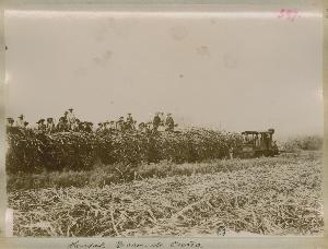 SC_F_SUP-3a060-0001579_IMG-0000035485
