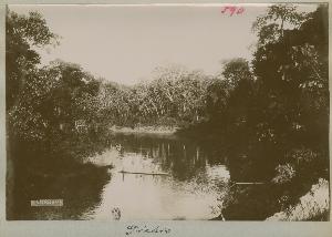 SC_F_SUP-3a060-0001636_IMG-0000035540