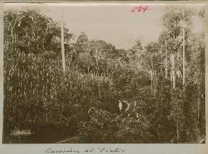 SC_F_SUP-3a060-0001648_IMG-0000035552