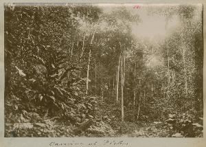 SC_F_SUP-3a060-0001649_IMG-0000035553