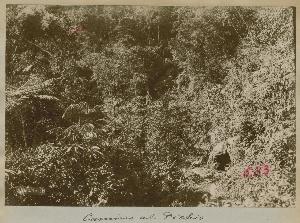SC_F_SUP-3a060-0001650_IMG-0000035554