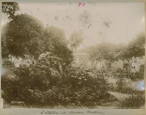 SC_F_SUP-3a060-0001754_IMG-0000035610