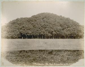 SC_F_SUP-3a060-0001991_IMG-0000035844