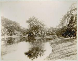 SC_F_SUP-3a060-0001993_IMG-0000035846