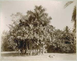 SC_F_SUP-3a060-0001997_IMG-0000035850