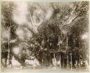 SC_F_SUP-3a060-0001998_IMG-0000035851