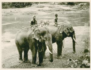 SC_F_SUP-3a060-0002030_IMG-0000035883