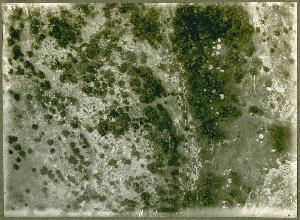 SC_F_SUP-3a060-0002109_IMG-0000035962