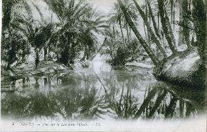 SC_F_SUP-3a060-0002191_IMG-0000035997