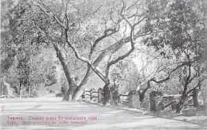 SC_F_SUP-3a060-0002366_IMG-0000036168