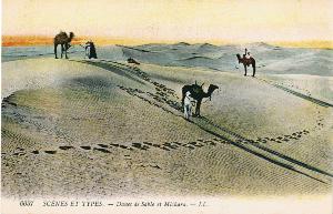SC_F_SUP-3a060-0002473_IMG-0000036272