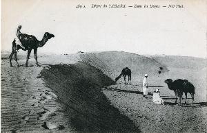 SC_F_SUP-3a060-0002476_IMG-0000036275