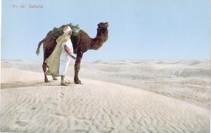 SC_F_SUP-3a060-0002479_IMG-0000036278