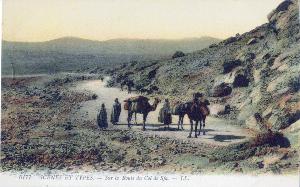 SC_F_SUP-3a060-0002485_IMG-0000036284